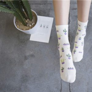 Ebay chaussette cactus - Autour de Marine