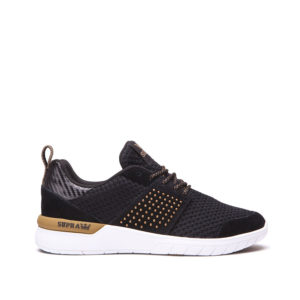 Supra women Scissor basket - Autour de Marine