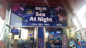 Sea Life Busan - Autour De Marine