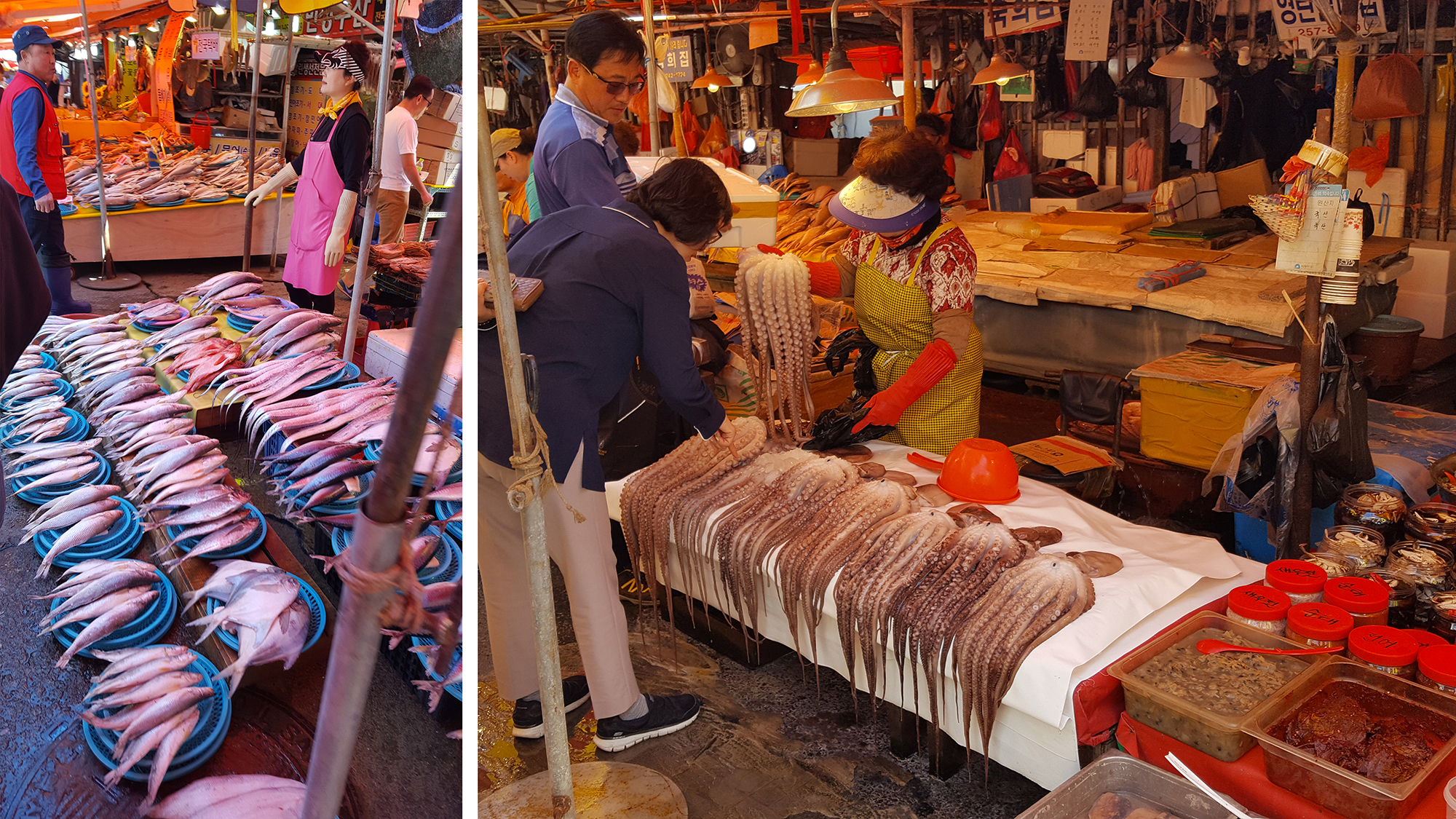 Jagalchi market Busan - Autour de Marine