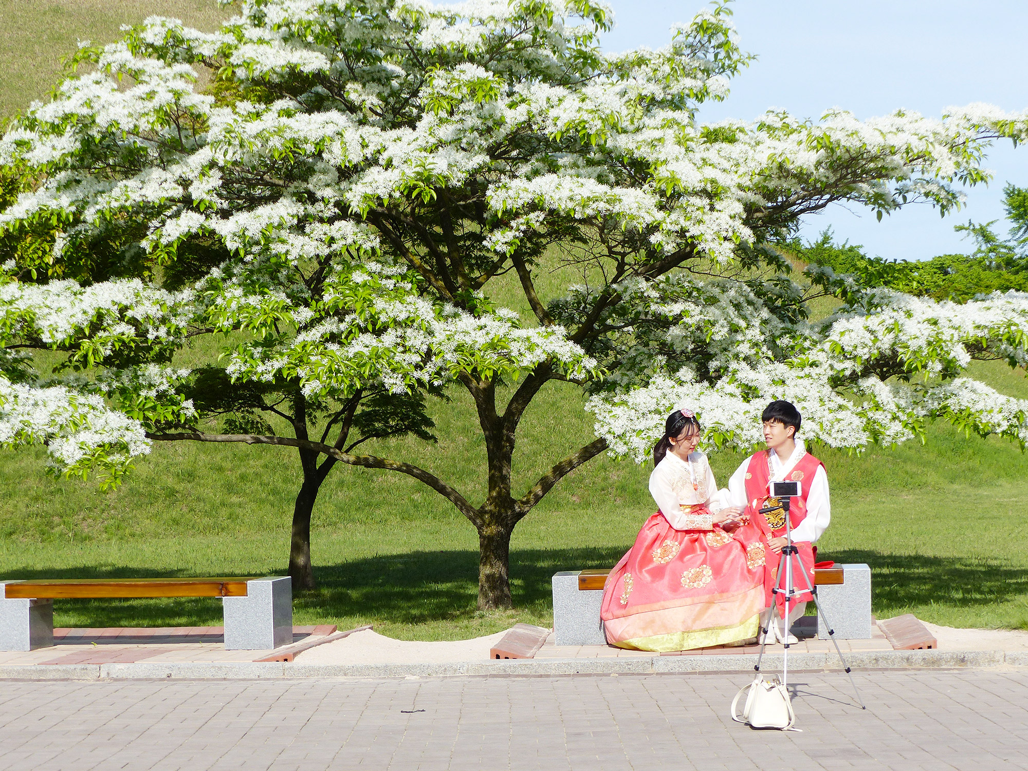 3 jours à Gyeongju - Autour de marine