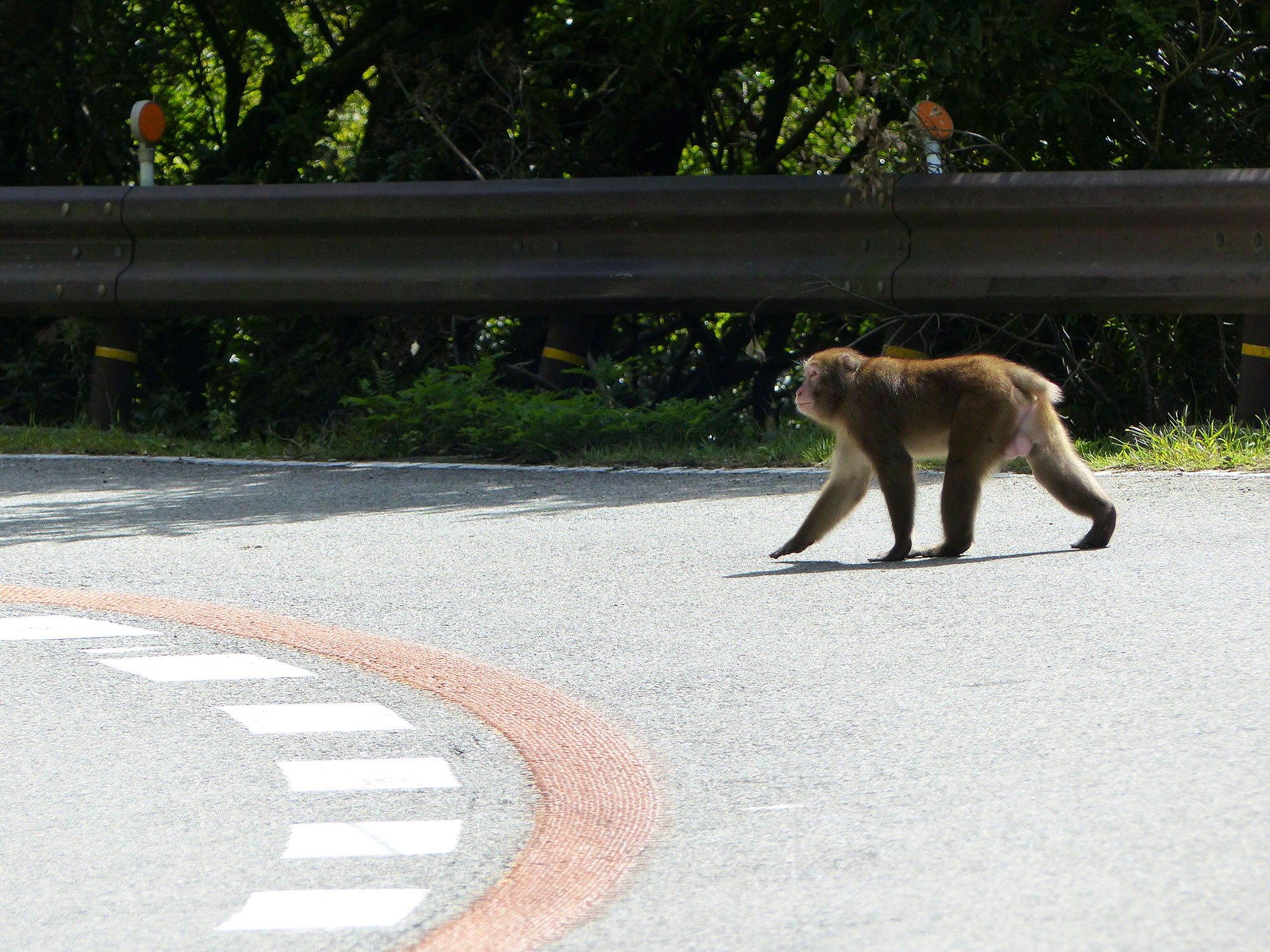 Osaka, Minoh parc - Autour de Marine