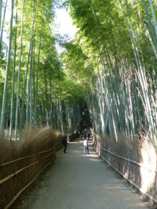 Kyoto - Autour de Marine