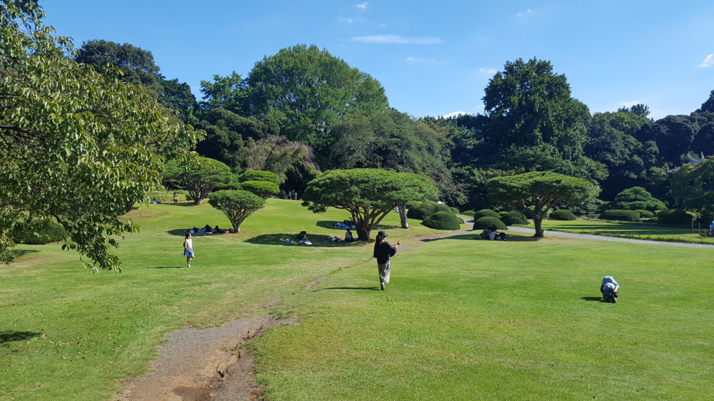 2 semaines au Japon, 7 jours à Tokyo