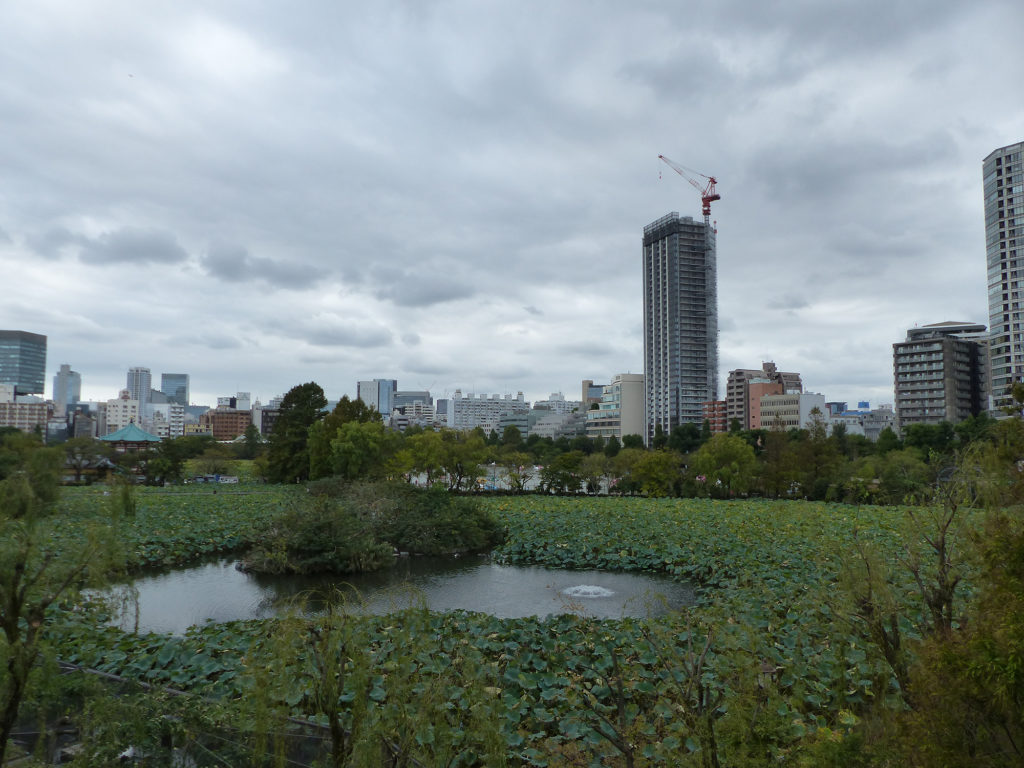 2 semaines au Japon, 7 jours à Tokyo