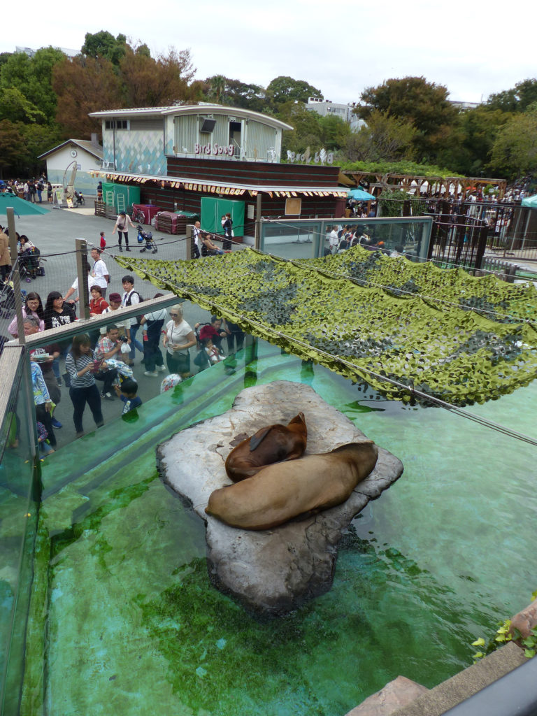 2 semaines au Japon, 7 jours à Tokyo